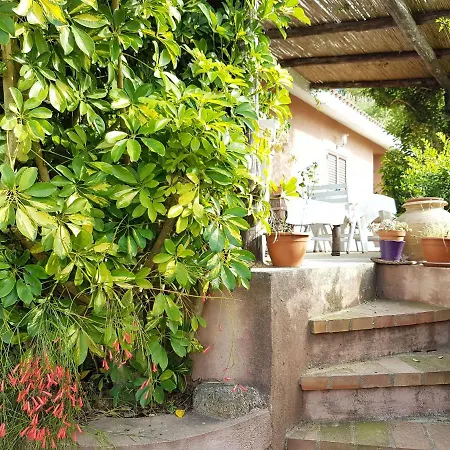Paralia House Parghelia