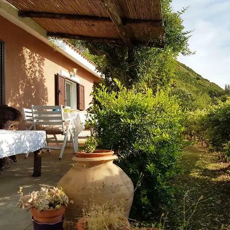 Paralia House Vila *